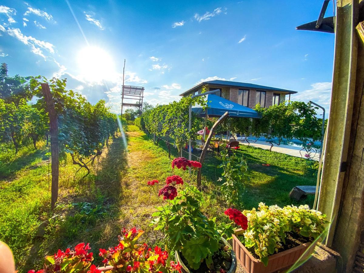 Chateau Ikalto Ngoại thất bức ảnh