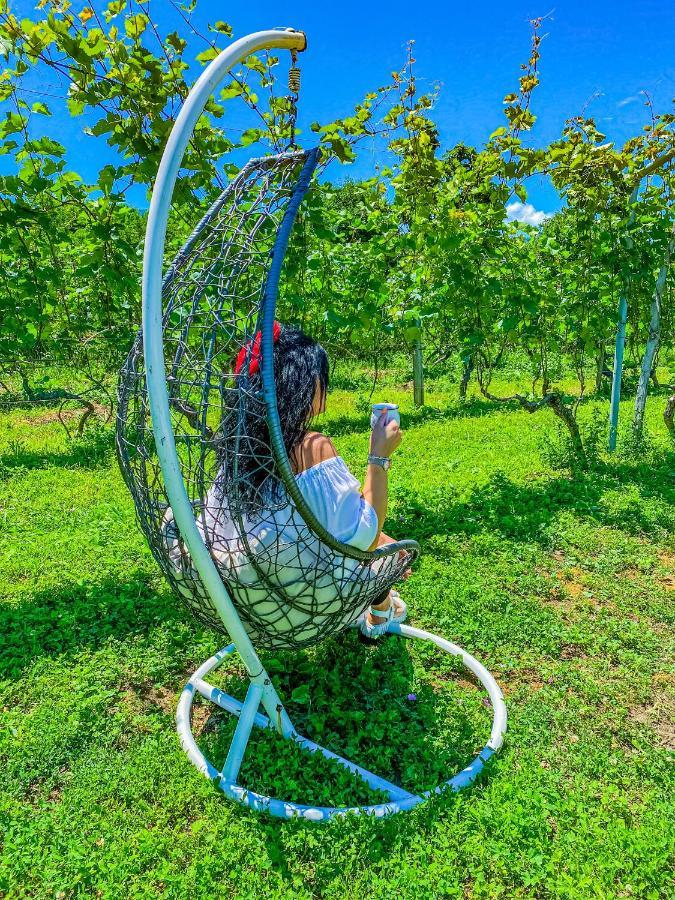 Chateau Ikalto Ngoại thất bức ảnh