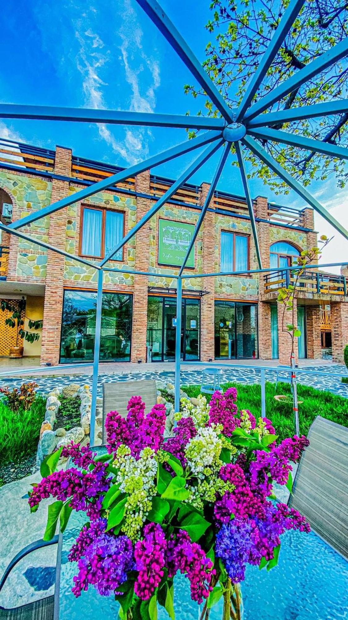 Chateau Ikalto Ngoại thất bức ảnh